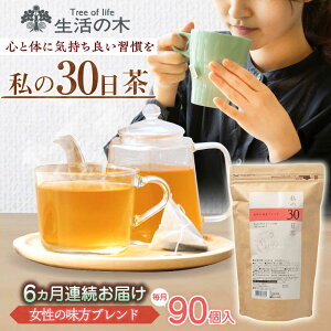 yӂ邳Ɣ[Łzy6ցz 30 ̖uh 90(90) Qs / ̖ Qt@Ng[ uheB[ [AZBE059]
