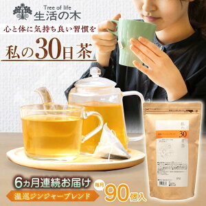 yӂ邳Ɣ[Łzy6ցz 30 WW[uh 90(90) Qs / ̖ Qt@Ng[ uheB[ [AZBE062]