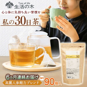 yӂ邳Ɣ[Łzy6ցz 30 lQ̓uh 90(90) Qs / ̖ Qt@Ng[ uheB[ [AZBE068]