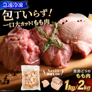 yӂ邳Ɣ[Łz yIׂeʁzyⓀz b߂ǂ  Jbgς Qs / g[m[fJ o { {@[AZBJ003]