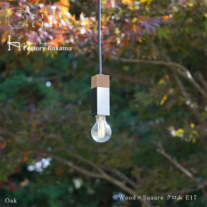 yӂ邳Ɣ[ŁzCTSH LIGHT. y_gCg SQUAREOak×NH E17 Qs / WIjbN Ɩ \Pbg S ؐ Vo[[AZBQ049]