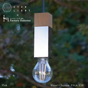 yӂ邳Ɣ[ŁzCTSH LIGHT. y_gCg SQUAREOak×NH E26 Qs / WIjbN Ɩ \Pbg S ؐ Vo[[AZBQ050]