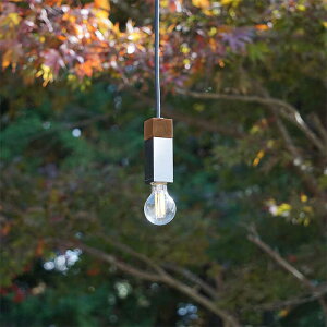 yӂ邳Ɣ[ŁzCTSH LIGHT. y_gCg SQUAREWalnut×NH E17 Qs / WIjbN Ɩ \Pbg S ؐ Vo[[AZBQ057]