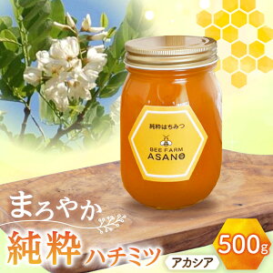 yӂ邳Ɣ[Łzn`~c AJVA 500g×1 Qs / honey shop Bee farm asano I ݂͂[AZBT002]
