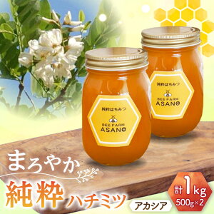 yӂ邳Ɣ[Łzn`~c AJVA 500g×2 Qs / honey shop Bee farm asano I ݂͂[AZBT003]