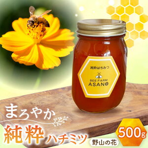 yӂ邳Ɣ[Łzn`~c R̉ 500g×1 Qs / honey shop Bee farm asano I ݂͂[AZBT005]