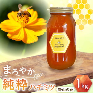 yӂ邳Ɣ[Łzn`~c R̉ 1,000g×1 Qs / honey shop Bee farm asano I ݂͂[AZBT006]