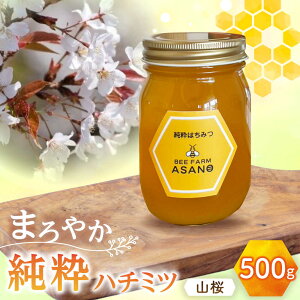 yӂ邳Ɣ[Łzn`~c R 500g×1 Qs / honey shop Bee farm asano I ݂͂[AZBT008]
