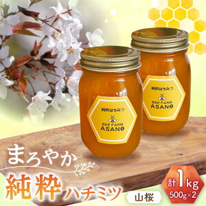yӂ邳Ɣ[Łzn`~c R 500g×2 Qs / honey shop Bee farm asano I ݂͂[AZBT009]
