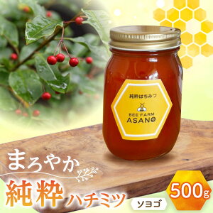 yӂ邳Ɣ[Łzn`~c \S 500g×1 Qs / honey shop Bee farm asano I ݂͂[AZBT011]