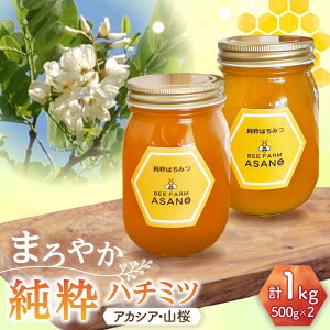 yӂ邳Ɣ[Łzn`~c 2Zbg (AJVA500g×1 R500g×1) Qs / honey shop Bee farm asano I ݂͂[AZBT013]