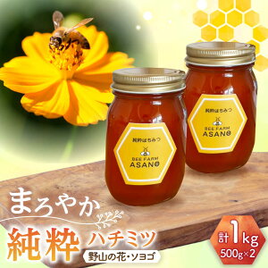 yӂ邳Ɣ[Łzn`~c 2Zbg (R̉500g×1 \S500g×1) Qs / honey shop Bee farm asano I ݂͂[AZBT014]