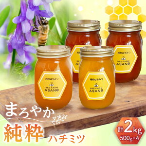 yӂ邳Ɣ[Łzn`~c 4Zbg (AJVA R \S R̉ 500g×e1) Qs / honey shop Bee farm asano I ݂͂[AZBT016]