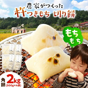 yӂ邳Ɣ[Łzy12/10܂ł̊񕍂ŔNz _Ƃn ؂ p 2kg i / 500g×4܁j ˂ӂgp Qs / _g@lg@Bc_g   