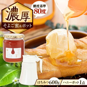 yӂ邳Ɣ[Łz݂͂ 悲 × nj[|bg () rMi[YZbg Qs / x{I I Y [AZCF005]