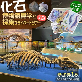 【ふるさと納税】瑞浪市化石博物館 見学と化石採集プライベートツアー（一日）＆ グッズセット 瑞浪市[AZCJ006]