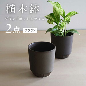 yӂ邳Ɣ[ŁzyZāz miyama. vg|bgL uE 2 / v^[  Aؔ K[fjO / Qs / ~}vjO[AZCM086]