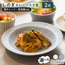 【ふるさと納税】【選べる2色タイプ】【美濃焼/みずなみ焼】 シックな 北欧風食器 しのぎカレーパスタ皿 2枚セット 瑞浪市 / 山喜製陶 プレート カレー皿 食器[AZCP001]