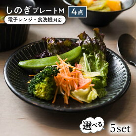 【ふるさと納税】【選べる5種タイプ】【美濃焼/みずなみ焼】 しのぎ プレートM 4個セット 瑞浪市 / 山喜製陶 食器 皿 パン皿[AZCP018]