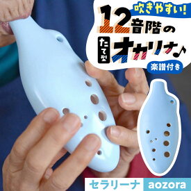 【ふるさと納税】【美濃焼】 オカリナよりも吹きやすい 「aozora」 セラリーナ12音階 たて型のオカリナ 瑞浪市 / スエラボ[AZCV008]