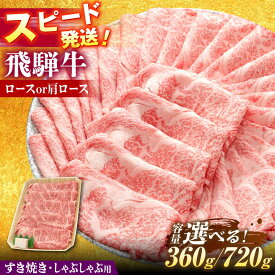 【ふるさと納税】【選べる容量】 飛騨牛 すき焼き しゃぶしゃぶ 両用 ロース 肩ロース 瑞浪市 / 冷凍 赤身 和牛 ギフト[AZDB003]