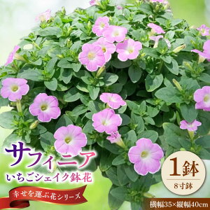 yӂ邳Ɣ[Łzy4菇z TtBjA VFCN ԁ@/ Qs R|   j A  Mtg v[g t[[AZDC004]