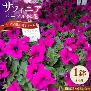 yӂ邳Ɣ[Łzy4菇z TtBjA p[v ԁ@/ Qs R|   j A  Mtg v[g t[[AZDC006]