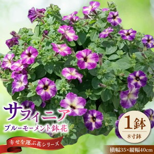 yӂ邳Ɣ[Łzy4菇z TtBjA u[[g ԁ@/ Qs R|   j A  Mtg v[g t[[AZDC008]