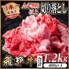 【ふるさと納税】飛騨牛 厳選切り落とし 1.2kg(400g×3)　A4～A5等級　黒毛和牛 小分け【配送不可地域：離島】【1487292】