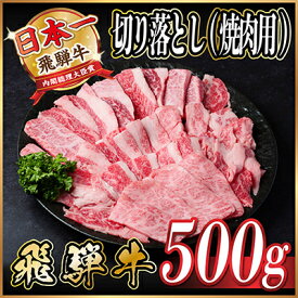 【ふるさと納税】飛騨牛 厳選切り落とし(焼肉・BBQ用) 500g　訳あり 黒毛和牛　4～A5等級【配送不可地域：離島】【1487352】