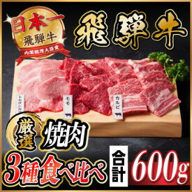 【ふるさと納税】飛騨牛　焼肉厳選3種食べ比べセット(カルビ・トモサンカク・モモ)　約600g【配送不可地域：離島】【1531174】