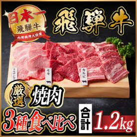 【ふるさと納税】飛騨牛　焼肉厳選3種食べ比べセット(カルビ・トモサンカク・モモ)　約1.2kg【配送不可地域：離島】【1531176】