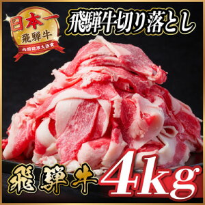yӂ邳Ɣ[Łzˋ ؂藎Ƃ@300g` 󂠂y①ցzA4`A5@јayzsnFzyG1531513z