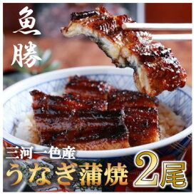 【ふるさと納税】三河一色産うなぎ蒲焼　2尾〈計約320g〉【配送不可地域：離島】【1532718】