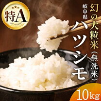 楽天市場】岐阜県 ハツシモ 10kgの通販
