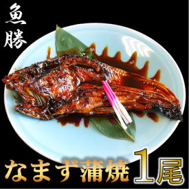 【ふるさと納税】国産なまず蒲焼　1尾、たれ10ml×1本【配送不可地域：離島】【1541643】