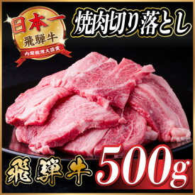 【ふるさと納税】飛騨牛 焼肉切り落とし 約500g～ タレ付き 訳あり【冷蔵便】A4～A5等級 黒毛和牛_ 飛騨牛 黒毛和牛 焼肉 切り落とし 厚切り 肉厚 訳あり タレ付き 牛肉 和牛 美味しい お取り寄せ 岐阜県 送料無料 【配送不可地域：離島】【G1543362】
