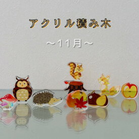 【ふるさと納税】季節のアクリル積み木　収納ケース付～11月～【1570395】