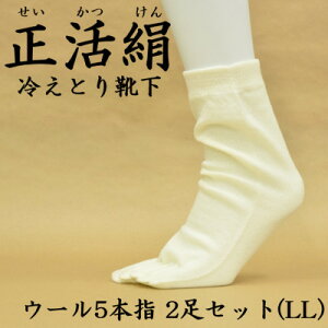 yӂ邳Ɣ[Łz ₦ƂC E[5{w 2Zbg(LLTCY)y1583798z