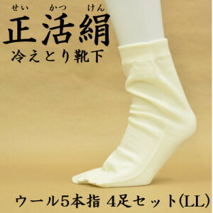 yӂ邳Ɣ[Łz ₦ƂC E[5{w 4Zbg(LLTCY)y1583809z
