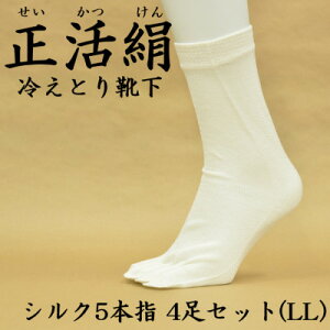 yӂ邳Ɣ[Łz ₦ƂC VN5{w 4Zbg(LLTCY)y1584064z