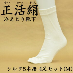 yӂ邳Ɣ[Łz ₦ƂC VN5{w 4Zbg(MTCY)y1584065z