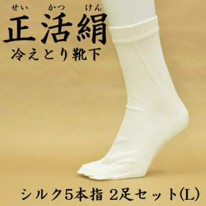 yӂ邳Ɣ[Łz ₦ƂC VN5{w 2Zbg(LTCY)y1584069z