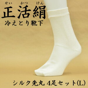 yӂ邳Ɣ[Łz ₦ƂC VN 4Zbg(LTCY)y1584080z