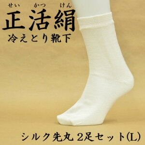 yӂ邳Ɣ[Łz ₦ƂC VN 2Zbg(LTCY)y1584117z
