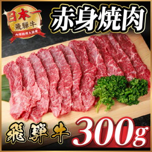 yӂ邳Ɣ[Łzˋ Ԑg(ēEBBQp) 300gy①ցzA4`A5 јayzsnFzy1646121z