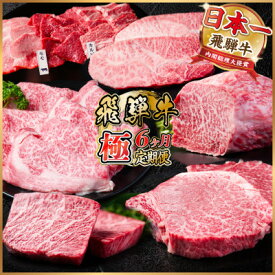 【ふるさと納税】【毎月定期便】飛騨牛 極定期便 計3.4kg【冷蔵便】A4～A5等級 シャトーブリアンほか 全6回【配送不可地域：離島】【4055510】