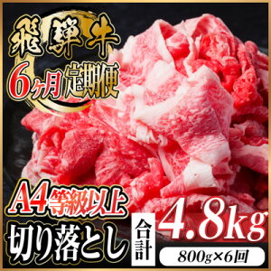 yӂ邳Ɣ[Łzr[Ly[{!yցzˋ I؂藎Ƃ v4.8kgS6@yzsnFzy4055981z