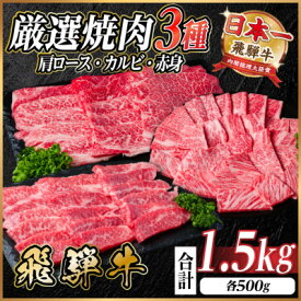 【ふるさと納税】飛騨牛　厳選焼肉3種(肩ロース・カルビ・赤身)　1.5kg(各500g)　黒毛和牛　小分け_ 飛騨牛 黒毛和牛 肩ロース カルビ 赤身 焼肉 BBQ バーベキュー 牛肉 和牛 精肉 肉 旨み 贅沢 アウトドア キャンプ グルメ お取り寄せ 【配送不可地域：離島】【1668600】