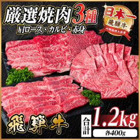 【ふるさと納税】飛騨牛　厳選焼肉3種(肩ロース・カルビ・赤身)　計1.2kg(各400g) 黒毛和牛　小分け_ 飛騨牛 黒毛和牛 肩ロース カルビ 赤身 焼肉 BBQ バーベキュー 牛肉 和牛 精肉 旨み 小分け 贅沢 グルメ お取り寄せ 岐阜県 【配送不可地域：離島】【1669123】